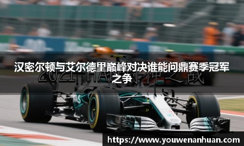 汉密尔顿与艾尔德里巅峰对决谁能问鼎赛季冠军之争